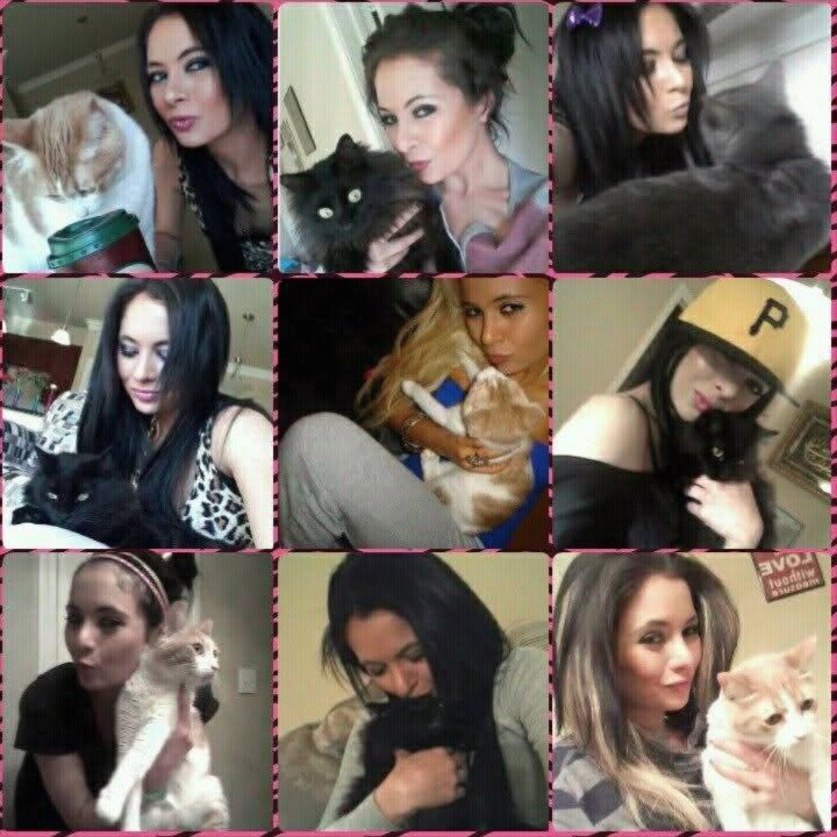 Jennifer Jorgensen Ahmed with her cats — nine-photo collage